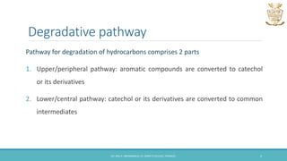Degradative pathway
Pathway for degradation of hydrocarbons comprises 2 parts
1. Upper/peripheral pathway: aromatic compounds are converted to catechol
or its derivatives
2. Lower/central pathway: catechol or its derivatives are converted to common
intermediates
DR. ANU P. ABHIMANNUE, ST. MARY'S COLLEGE, THRISSUR. 4
 