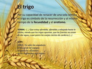 El trigo
Por su capacidad de renacer de una sola semilla
el trigo es símbolo de la resurrección y al mismo
tiempo de la fecundidad y el erotismo.
YERMA.- (…) Que estoy ofendida, ofendida y rebajada hasta lo
último, viendo que los trigos apuntan, que las fuentes no cesan
de dar agua, y que paren las ovejas cientos de corderos (…)
LCBA:
CORO.- Ya salen los segadores
en busca de las espigas;
se llevan los corazones
de las muchachas que miran.

 