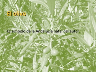 El olivo
Es símbolo de la Andalucía natal del autor.

 