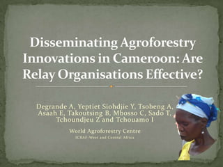Degrande A, Yeptiet Siohdjie Y, Tsobeng A,
Asaah E, Takoutsing B, Mbosso C, Sado T,
     Tchoundjeu Z and Tchouamo I
          World Agroforestry Centre
            ICRAF-West and Central Africa
 