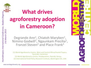 What drives
agroforestry adoption
in Cameroon?
Degrande Ann1, Chiatoh Maryben1,
Nimino Godwill1, Ngaunkam Precilia1,
Franzel Steven2 and Place Frank3
(1) World Agroforestry Centre, West and Central Africa/Humid Tropics,
Yaoundé, Cameroon
(2) World Agroforestry Centre, Headquarters, Nairobi, Kenya.
(3) International Food Policy Research Institute, Washington DC, USA
HumidtropicsInternationalConference,Ibadan|Nigeria,
3-6March2015
 
