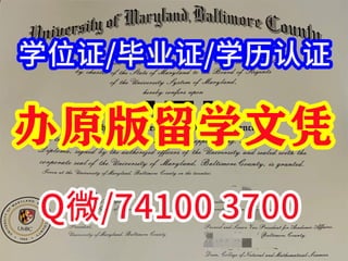 美国大学文凭办理缅因大学文凭学历认证
