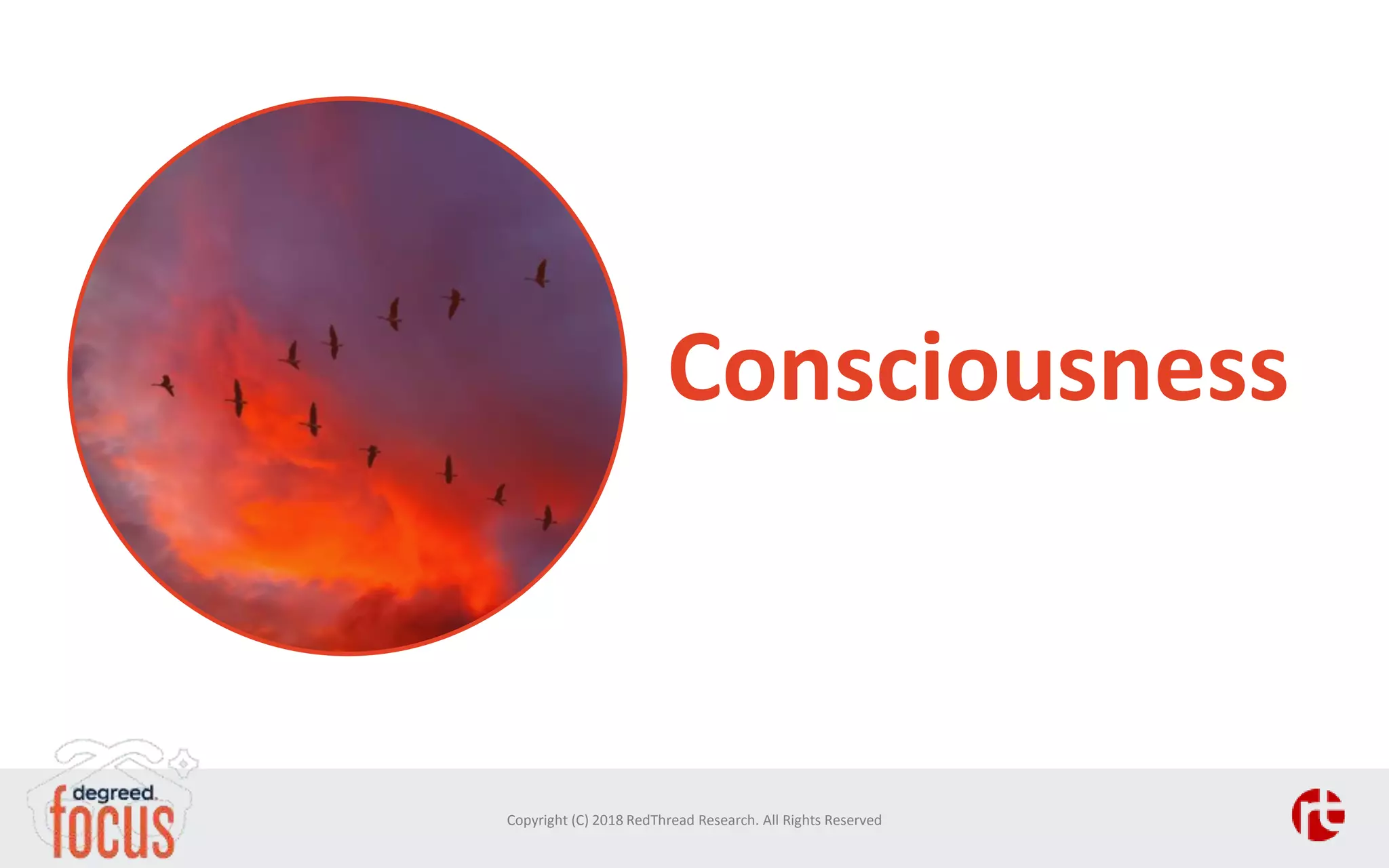 Consciousness
Copyright (C) 2018 RedThread Research. All Rights Reserved
 