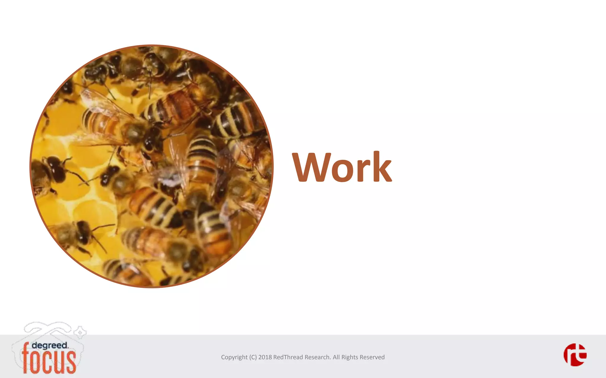 Work
Copyright (C) 2018 RedThread Research. All Rights Reserved
 