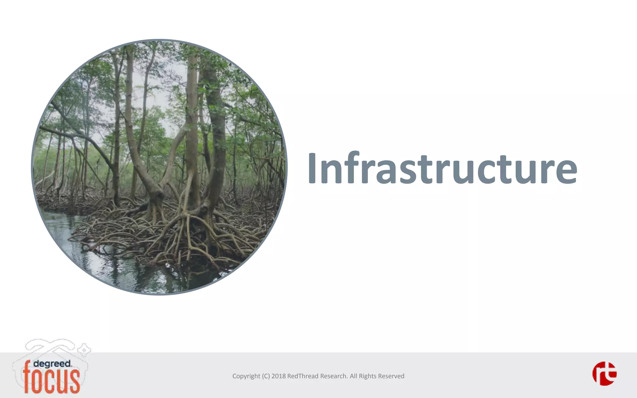 Infrastructure
Copyright (C) 2018 RedThread Research. All Rights Reserved
 