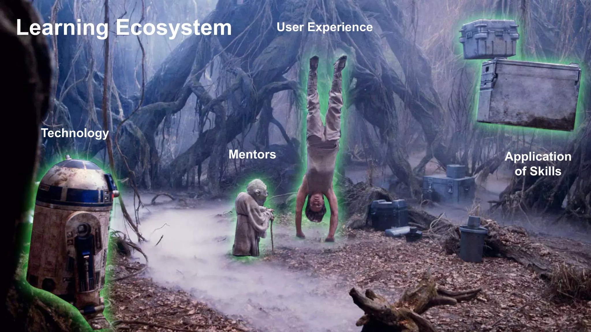 Learning Ecosystem
Technology
Application
of Skills
User Experience
Mentors
 