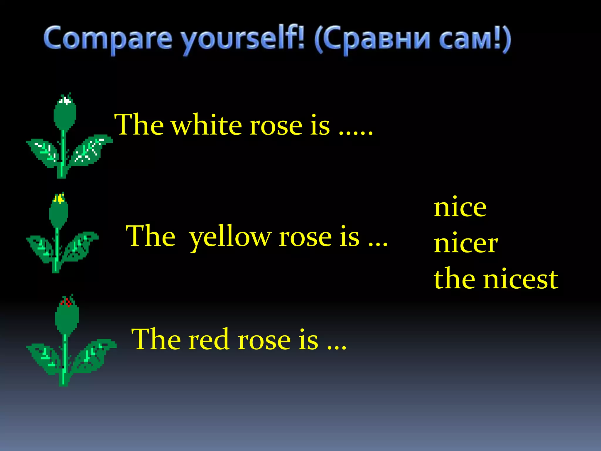 The white rose is …..

                        nice
The yellow rose is …    nicer
                        the nicest

 The red rose is …
 
