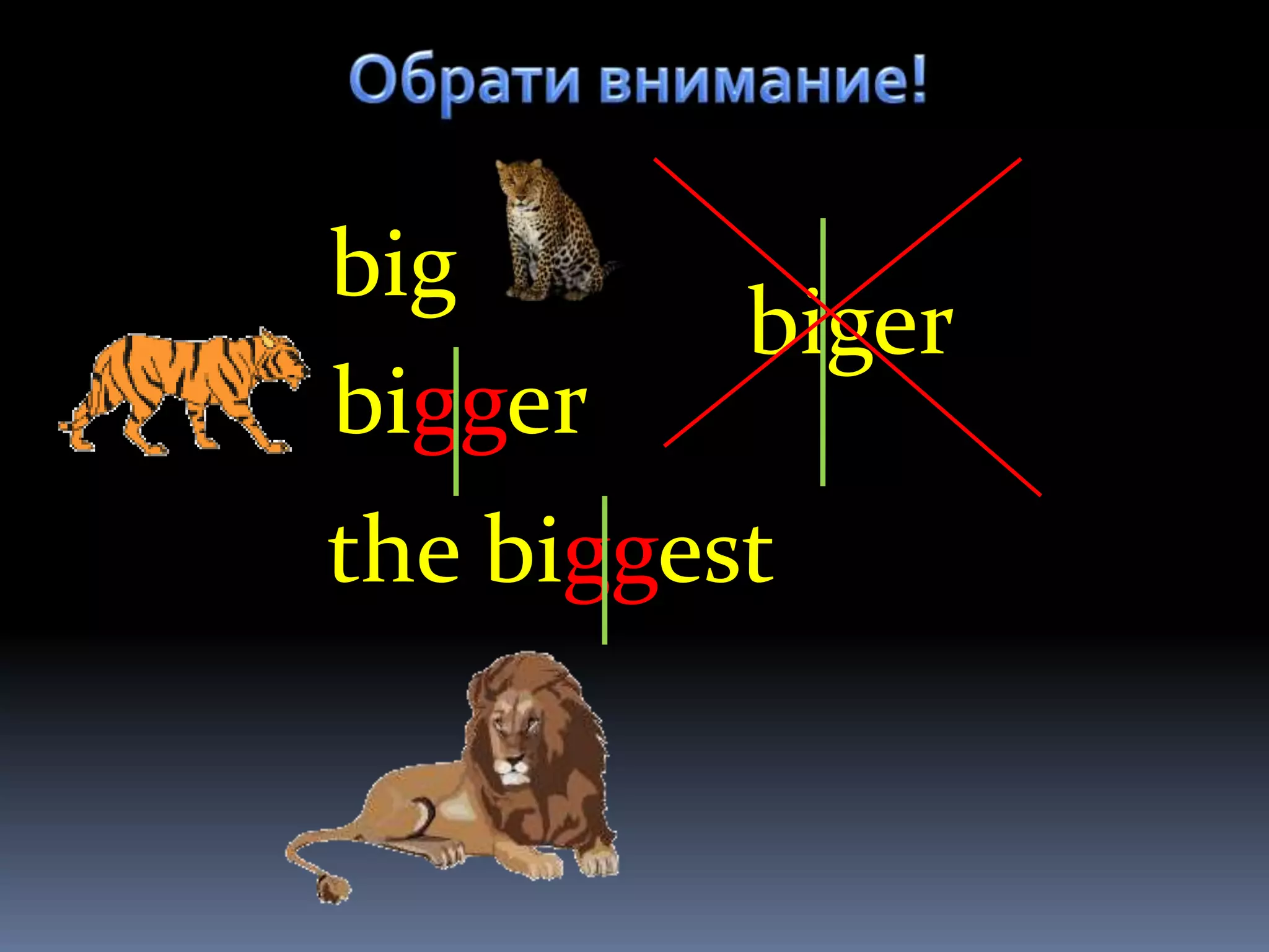 big
          biger
bigger
the biggest
 