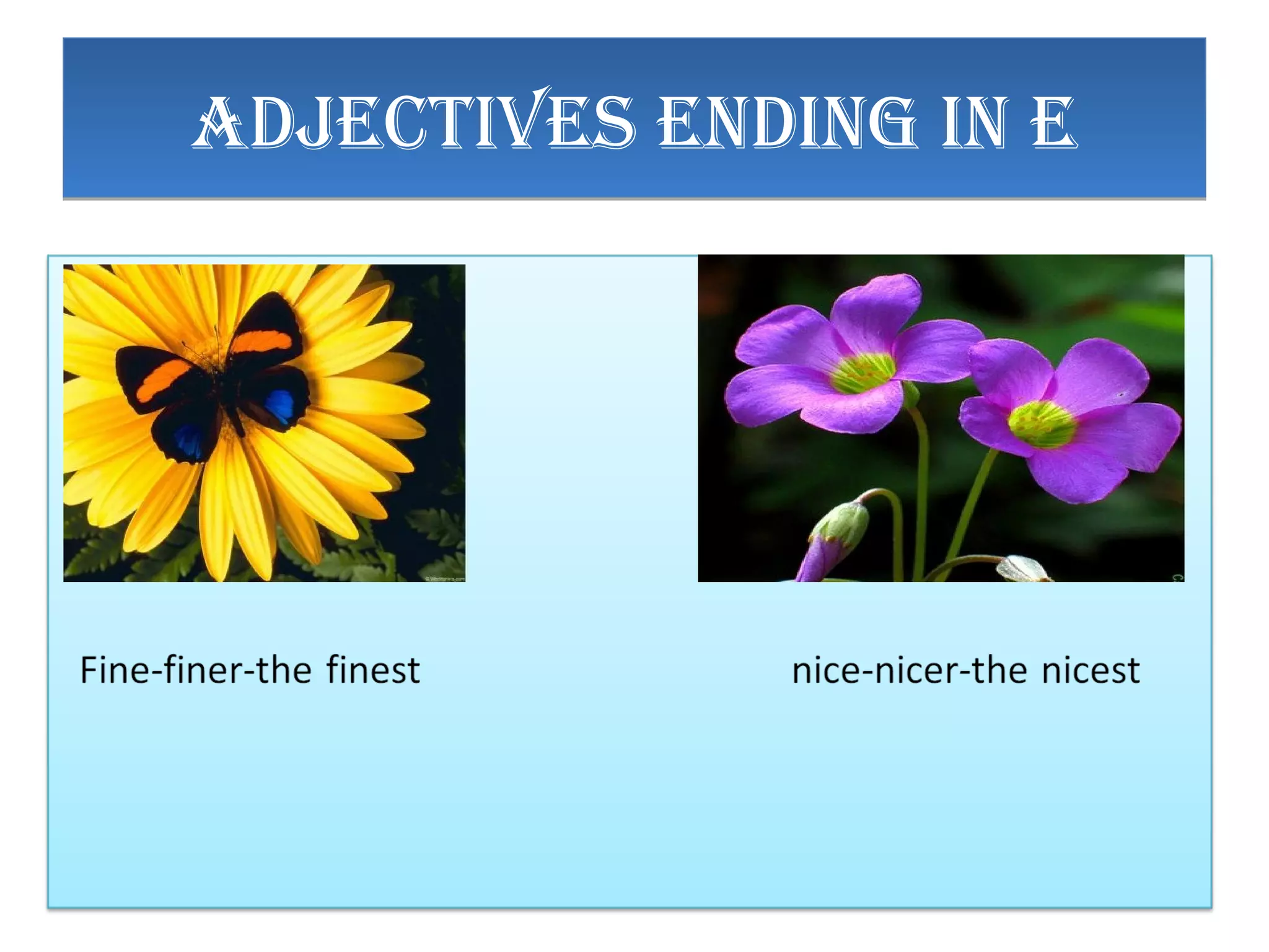 ADJECTIVES EnDIng In EADJECTIVES EnDIng In E