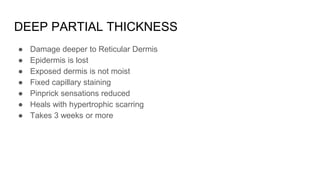 DEEP PARTIAL THICKNESS
● Damage deeper to Reticular Dermis
● Epidermis is lost
● Exposed dermis is not moist
● Fixed capillary staining
● Pinprick sensations reduced
● Heals with hypertrophic scarring
● Takes 3 weeks or more
 