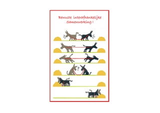 Bewuste interafhankelijke
Samenwerking !
 