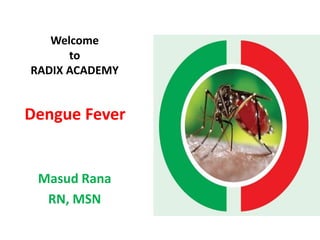 Welcome
to
RADIX ACADEMY
Masud Rana
RN, MSN
Dengue Fever
 