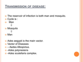 TRANSMISSION OF DISEASE:
 The reservoir of infection is both man and mosquito.
 Cycle is :
 Man

 Mosquito

 Man
 Ades aegypti is the main vactor.
 Vector of Diseases
 – Aedes Albopictus.
 -Ades polynesiens
 -Ades scutellaris complex.
 