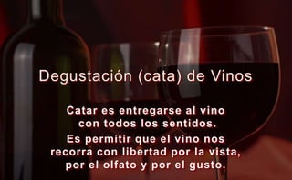 Degustación (cata) de Vinos Catar es entregarse al vino con todos los sentidos. Es permitir que el vino nos recorra con libertad por la vista, por el olfato y por el gusto. 