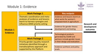 Introducing the ‘new’ CGIAR Gender Platform