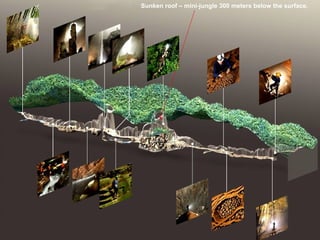 Sunken roof – mini-jungle 300 meters below the surface.
 