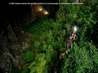 A 300 meters below the jungle surface is a mini-jungle at the bottom of the chasm.
 