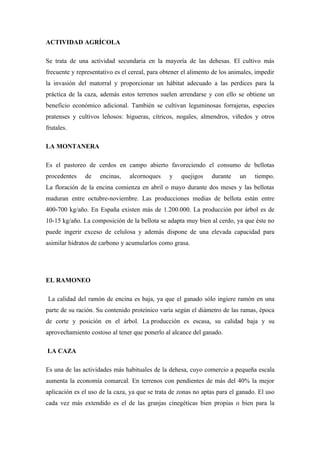 ACTIVIDAD AGRÍCOLA

Se trata de una actividad secundaria en la mayoría de las dehesas. El cultivo más
frecuente y representativo es el cereal, para obtener el alimento de los animales, impedir
la invasión del matorral y proporcionar un hábitat adecuado a las perdices para la
práctica de la caza, además estos terrenos suelen arrendarse y con ello se obtiene un
beneficio económico adicional. También se cultivan leguminosas forrajeras, especies
pratenses y cultivos leñosos: higueras, cítricos, nogales, almendros, viñedos y otros
frutales.

LA MONTANERA

Es el pastoreo de cerdos en campo abierto favoreciendo el consumo de bellotas
procedentes    de    encinas,    alcornoques    y    quejigos    durante    un    tiempo.
La floración de la encina comienza en abril o mayo durante dos meses y las bellotas
maduran entre octubre-noviembre. Las producciones medias de bellota están entre
400-700 kg/año. En España existen más de 1.200.000. La producción por árbol es de
10-15 kg/año. La composición de la bellota se adapta muy bien al cerdo, ya que éste no
puede ingerir exceso de celulosa y además dispone de una elevada capacidad para
asimilar hidratos de carbono y acumularlos como grasa.




EL RAMONEO

La calidad del ramón de encina es baja, ya que el ganado sólo ingiere ramón en una
parte de su ración. Su contenido proteínico varía según el diámetro de las ramas, época
de corte y posición en el árbol. La producción es escasa, su calidad baja y su
aprovechamiento costoso al tener que ponerlo al alcance del ganado.

LA CAZA

Es una de las actividades más habituales de la dehesa, cuyo comercio a pequeña escala
aumenta la economía comarcal. En terrenos con pendientes de más del 40% la mejor
aplicación es el uso de la caza, ya que se trata de zonas no aptas para el ganado. El uso
cada vez más extendido es el de las granjas cinegéticas bien propias o bien para la
 