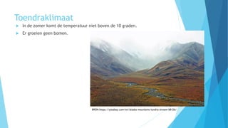Toendraklimaat
 In de zomer komt de temperatuur niet boven de 10 graden.
 Er groeien geen bomen.
BRON:https://pixabay.com/en/alaska-mountains-tundra-stream-68126/
 
