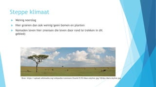 Steppe klimaat
 Weinig neerslag
 Hier groeien dan ook weinig/geen bomen en planten
 Nomaden leven hier (mensen die leven door rond te trekken in dit
gebied)
Bron: https://upload.wikimedia.org/wikipedia/commons/thumb/9/93/Mara-skyline.jpg/1024px-Mara-skyline.jpg
 