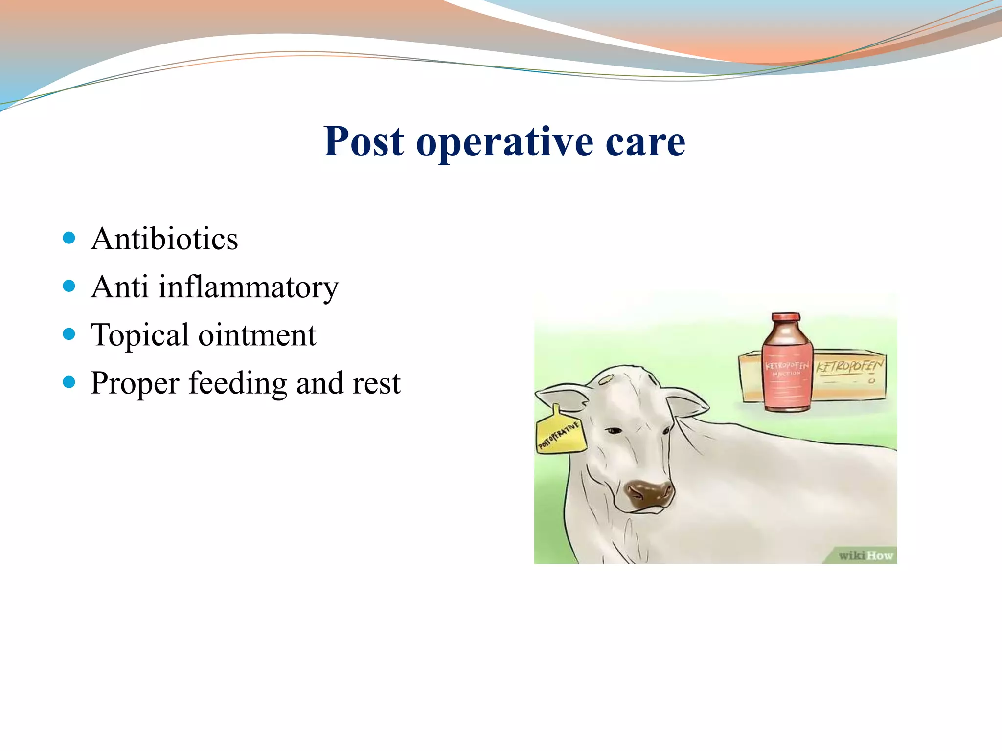Post operative care
 Antibiotics
 Anti inflammatory
 Topical ointment
 Proper feeding and rest
 