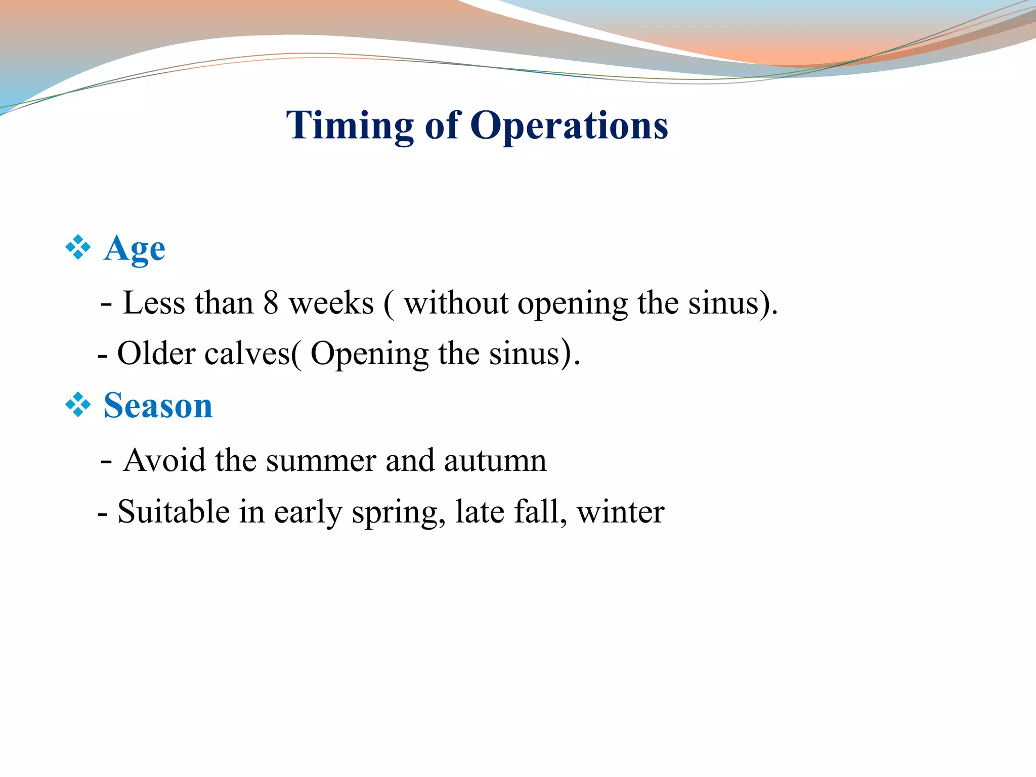 Timing of Operations
 Age
- Less than 8 weeks ( without opening the sinus).
- Older calves( Opening the sinus).
 Season
- Avoid the summer and autumn
- Suitable in early spring, late fall, winter
 
