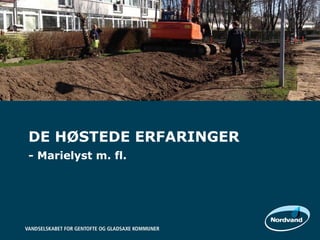 DE HØSTEDE ERFARINGER
- Marielyst m. fl.
 
