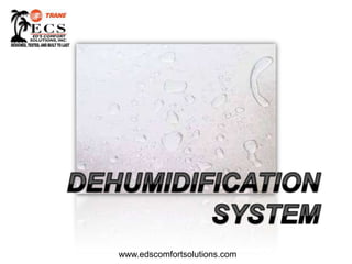 DEHUMIDIFICATION SYSTEM www.edscomfortsolutions.com 