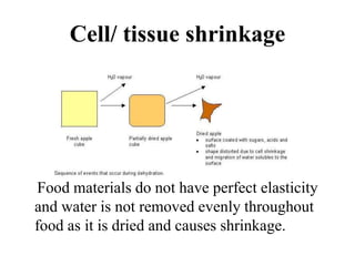 Cell/ tissue shrinkage
Food materials do not have perfect elasticity
and water is not removed evenly throughout
food as it is dried and causes shrinkage.
 