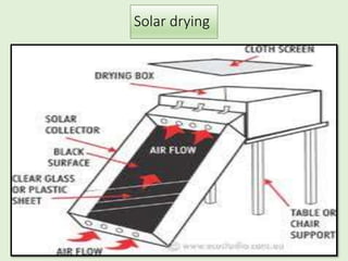Solar drying
 