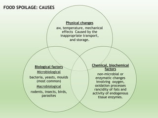Physical changes
aw, temperature, mechanical
effects Caused by the
inappropriate transport,
and storage.
Chemical, biochemical
factors
non-microbial or
enzymatic changes
involving oxygen,
oxidation processes
rancidity of fats and
activity of endogenous
tissue enzymes.
Biological factors
Microbiological
bacteria, yeasts, moulds
(most common)
Macrobiological
rodents, insects, birds,
parasites
FOOD SPOILAGE: CAUSES
 