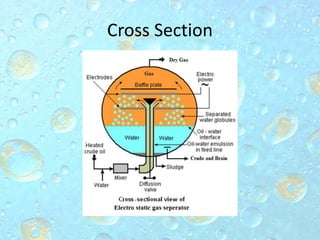 Cross Section
 