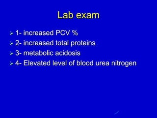 Lab exam
 1- increased PCV %
 2- increased total proteins
 3- metabolic acidosis
 4- Elevated level of blood urea nitrogen
 