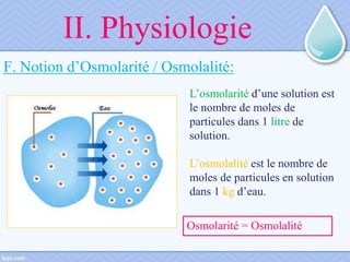 Deshydratation Aigue Du Nourrisson