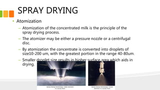 SPRAY DRYING
• Atomization
– Atomization of the concentrated milk is the principle of the
spray drying process.
– The atomizer may be either a pressure nozzle or a centrifugal
disc.
– By atomization the concentrate is converted into droplets of
size10-200 um, with the greatest portion in the range 40-80um.
– Smaller droplet size results in higher surface area which aids in
drying.
 