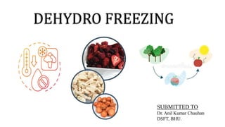 DEHYDRO FREEZING
SUBMITTED TO
Dr. Anil Kumar Chauhan
DSFT, BHU.
 