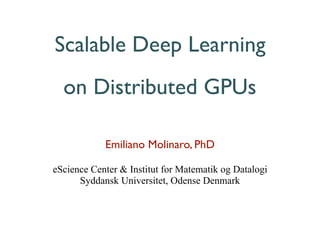Scalable Deep Learning
on Distributed GPUs
Emiliano Molinaro, PhD
eScience Center & Institut for Matematik og Datalogi
Syddansk Universitet, Odense Denmark
 