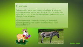 2- Herbívoros
En la zoología, un herbívoro es un animal que se alimenta
exclusivamente de plantas y no de carne. En la práctica, sin
embargo, muchos herbívoros comen huevos y ocasionalmente
otras proteínas animales.
Algunos herbívoros comen solo frutas y se les conoce
como frugívoros y otros comen solamente hojas y son
llamados folívoros
 
