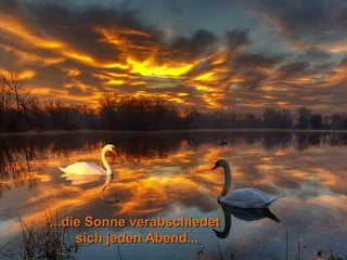 ...die Sonne verabschiedet
     sich jeden Abend...
 