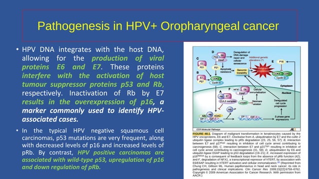 Treatment Deintensification in HPV positive head and neck cancer | PPT