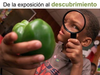 De la exposición al descubrimiento