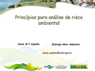 Princípios para análise de risco
           ambiental



 Deise M F Capalbo          Embrapa Meio Ambiente


                     deise.capalbo@embrapa.br
 