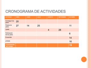 CRONOGRAMA DE ACTIVIDADES
ACTIVIDAD       ABRIL   JUNIO   JULIO   AGOSTO   SEPTIEMBRE   OCTUBRE


Conseguir los
palos
                20
Pelada de
palos
                27      14      25                            11
Lijada
                                        4        28
Perforación
de los palos
                                                              6
Ensamble
                                                              14
pintada
                                                              16
Presentación
del trabajo
                                                              19
 