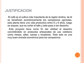 JUSTIFICACION
  El café es el cultivo más importante de la región Andina, de él
 se benefician económicamente los campesinos agrícolas,
 esta planta tiene una vida productiva entre 6 y 8 años, luego
 se soquea, que es cortar el tallo y este pasa a ser desecho.
  Este proyecto tiene como fin dar utilidad al desecho
 convirtiéndolo en productos artesanales de uso cotidiano
 como mesas, sillas, camas y tocadores. Todo esto es una
 muy buen entrada económica para los campesinos.
 