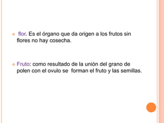     flor. Es el órgano que da origen a los frutos sin
    flores no hay cosecha.



   Fruto: como resultado de la unión del grano de
    polen con el ovulo se forman el fruto y las semillas.
 