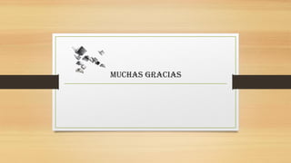 Muchas gracias
 