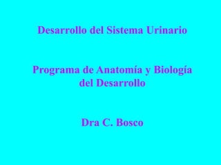 Desarrollo del Sistema Urinario


Programa de Anatomía y Biología
        del Desarrollo


         Dra C. Bosco
 