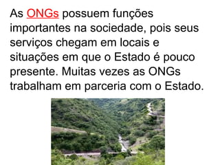 As  ONGs   possuem funções importantes na sociedade, pois seus serviços chegam em locais e situações em que o Estado é pouco presente. Muitas vezes as ONGs trabalham em parceria com o Estado. 
