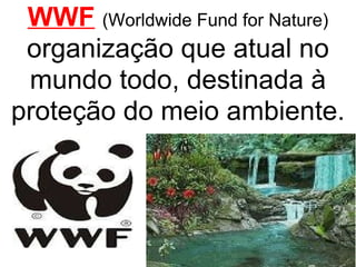 WWF   (Worldwide Fund for Nature)  organização que atual no mundo todo, destinada à proteção do meio ambiente. 