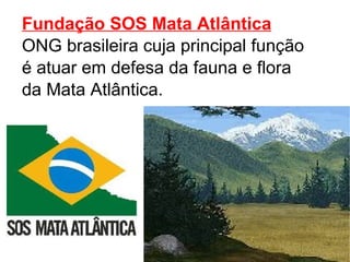 Fundação SOS Mata Atlântica ONG brasileira cuja principal função é atuar em defesa da fauna e flora da Mata Atlântica. 